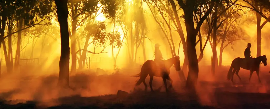 Ride into a new season of Yellowstone…