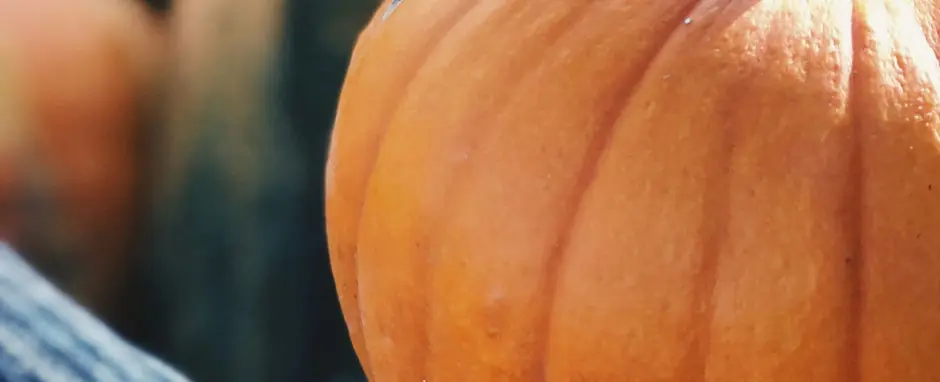 Pumpkin to talk about! Spice things up with these recipes. 